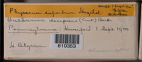 Image Associated With the Occurence
